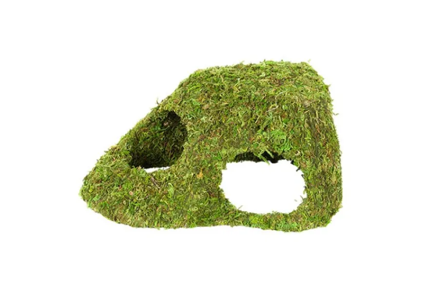 Hobby Jungle Cave 4