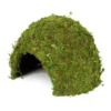 Hobby Jungle Cave 3