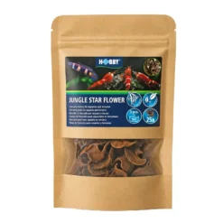 Hobby Jungle Star Flowers, Sterculia, 25 Stück