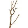 Hobby Korktronchos S, 40-50 cm lang