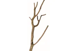 Hobby Korktronchos S, 40-50 cm lang