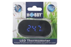 Hobby LED Thermometer