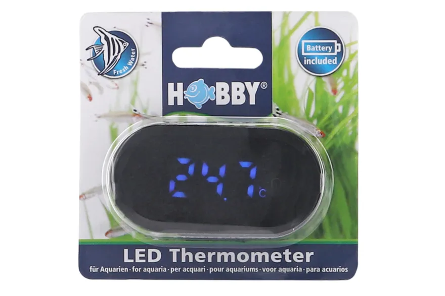 Hobby LED Thermometer