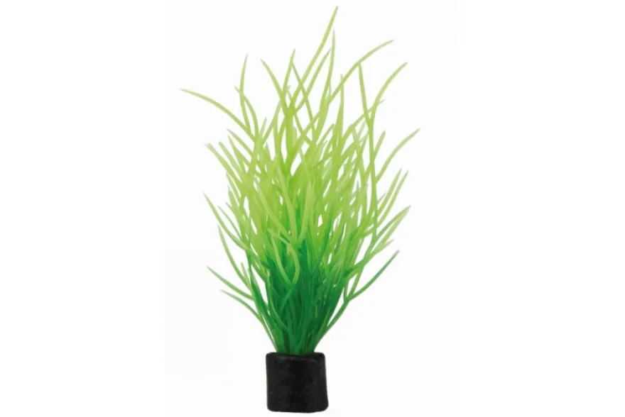 Hobby Lilaeopsis mini Kunstpflanze