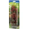 Hobby Ludwigia, 60 cm