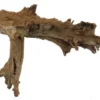 Hobby Mangrovenholz XL, 50-70 cm