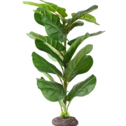 Hobby Marantha Tree, Terrarien Pflanze, 55 cm