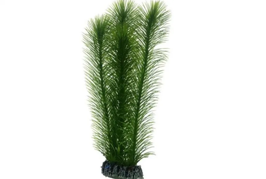 Hobby Mayaca, 25 cm