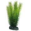 Hobby Mayaca, 16 cm