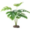 Hobby Monstera White, Terrarien Pflanze, 40 cm