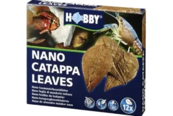 Hobby Nano Catappa Leaves, Seemandelbaumblätter, 12 St.