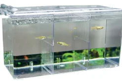 Hobby Nido 5, externer Ablaichbehälter mit Sauerstoffversorgung