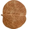 Hobby Orchid Tree Leaves, Bauhinia-Blätter, 25 Stück