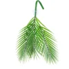Hobby Palm Tree 60 × 20 cm