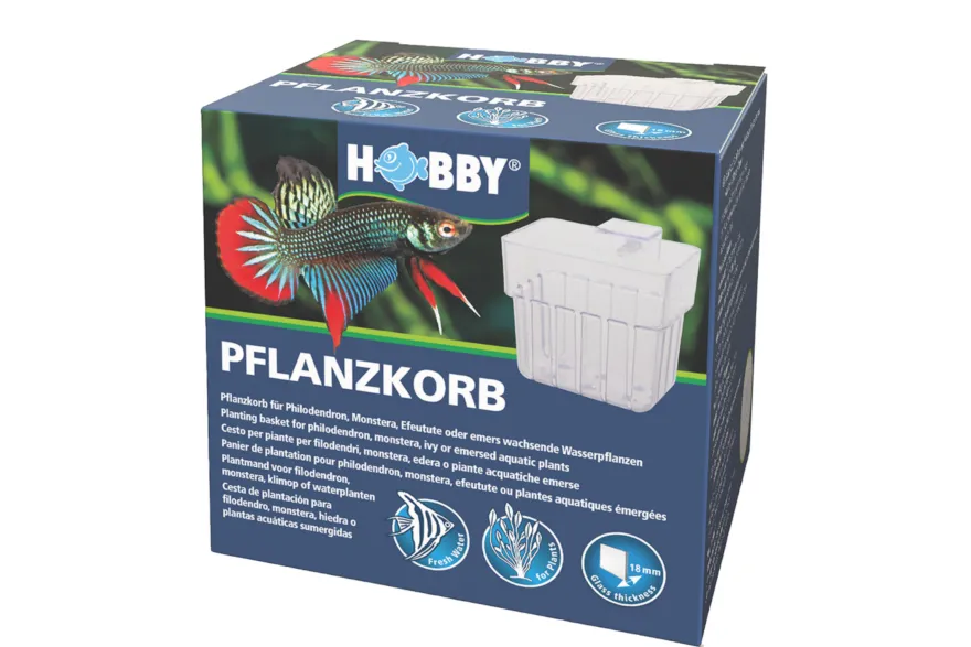 Hobby Pflanzkorb für emerse Aquarienpflanzen