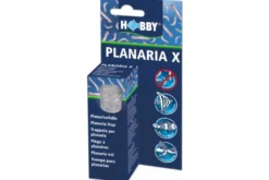 Hobby Planaria X, Planarienfalle