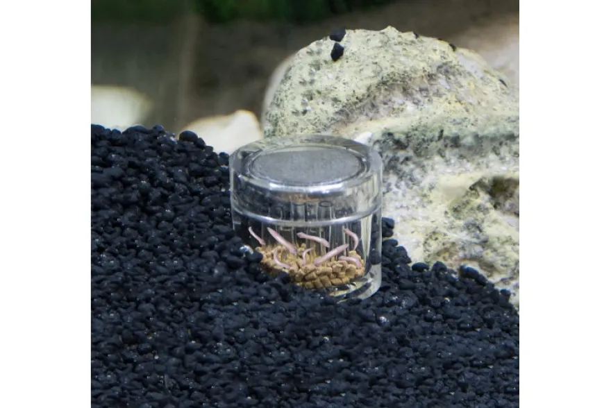 Hobby Planaria X, Planarienfalle