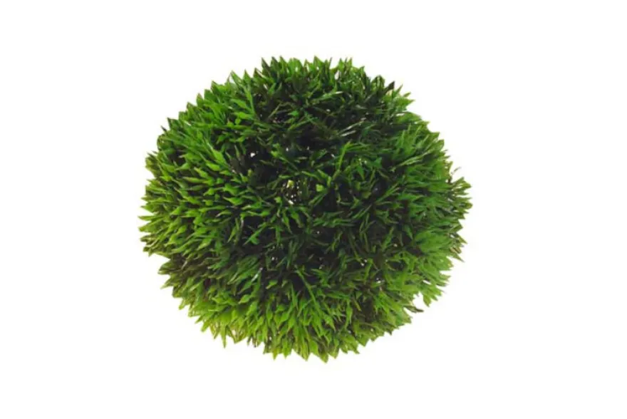 Hobby Plant Ball, 13 cm
