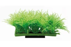 Hobby Plant Pad 2 Kunstpflanze