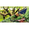 Hobby Rückwandfolie Green Secret/Wood Island, 120 cm x 50 cm