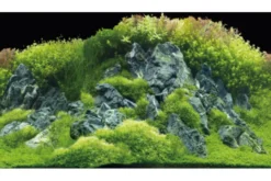 Hobby Rückwandfolie Planted River/Green Rocks, 120 cm x 50 cm
