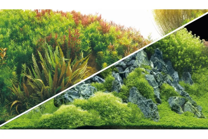 Hobby Rückwandfolie Planted River/Green Rocks, 120 cm x 50 cm