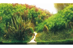 Hobby Rückwandfolie Planted River/Green Rocks, 120 cm x 50 cm