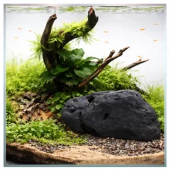 Hobby River Rock 3, 21 × 17 × 10,5 cm