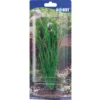 Hobby Sagittaria, 20 cm