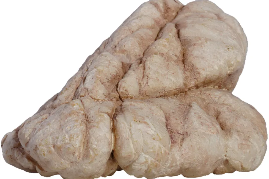 Hobby Sandstone Rock 5 (19 × 15,5 × 19 cm)