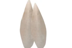 Hobby Sepia Bone, 2 Stück