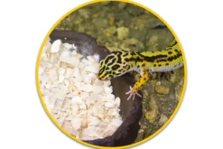 Hobby Sepia Crunch, 120 g