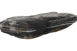 Hobby Shadow Rock M (1–2 kg)