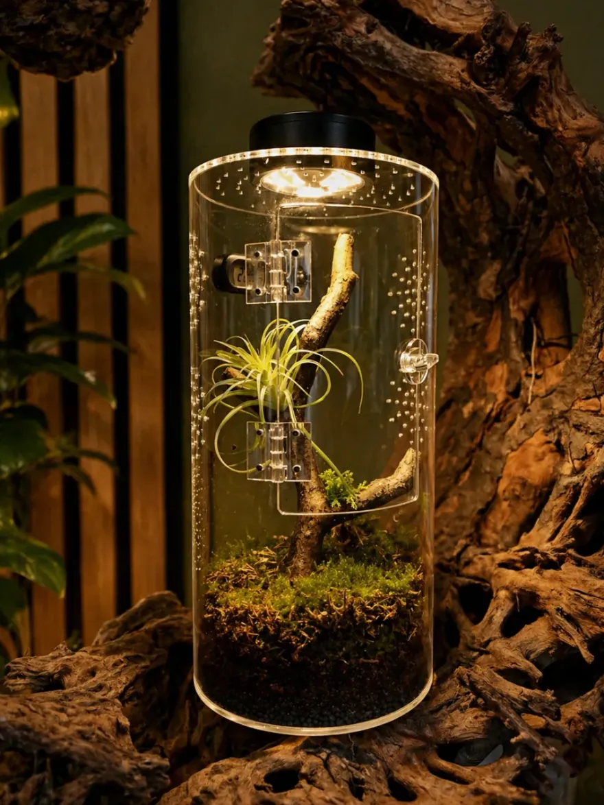 Hobby Terra Fix & Easy Insect Line, Insektenterrarium, 15 x 15 x 30 cm