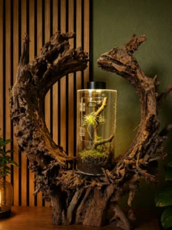 Hobby Terra Fix & Easy Insect Line, Insektenterrarium, 15 x 15 x 30 cm