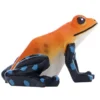Hobby The Frog 2 (5 × 3,5 × 5 cm)
