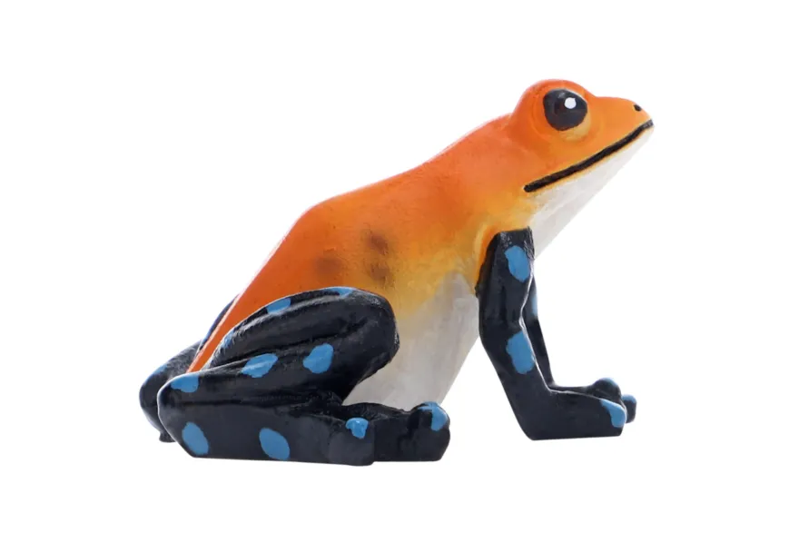Hobby The Frog 2 (5 × 3,5 × 5 cm)
