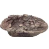 Hobby Trinkschale Savanna Bowl, 29 × 24,5 × 7 cm