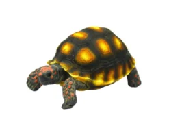Hobby Turtle 1