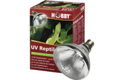 Hobby UV Reptil Vital, 80 Watt