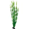 Hobby Vallisneria, 60 cm