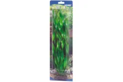 Hobby Vallisneria, 46 cm
