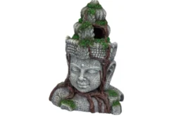 Hobby Vishnu, 9 x 6,5 x 12,5 cm