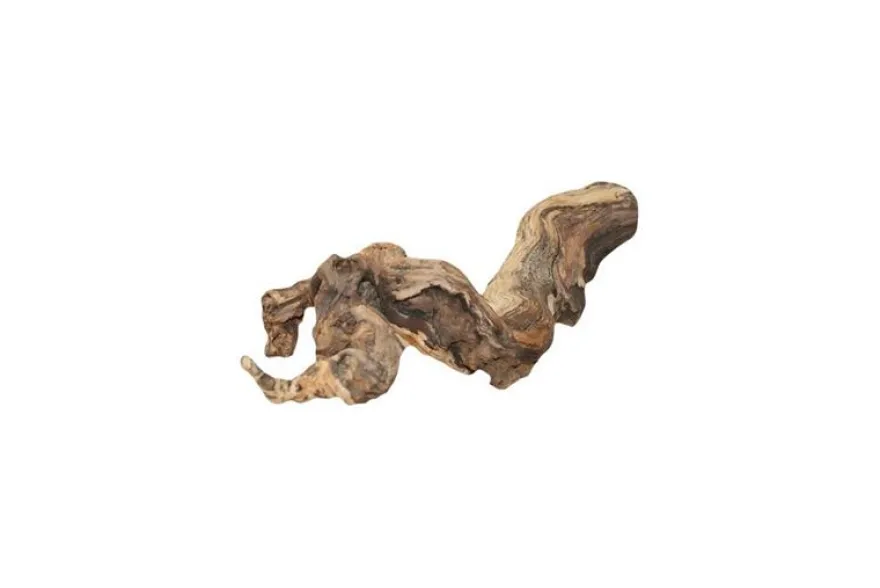 Hobby Weinrebenwurzel, ca. 30 cm