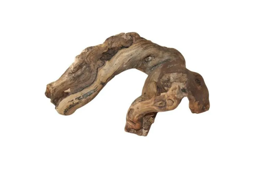 Hobby Weinrebenwurzel, ca. 30 cm