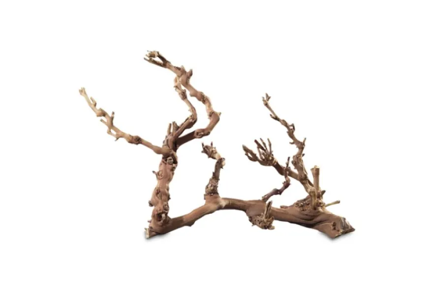 Hobby Weinrebenwurzel, ca. 30 cm