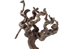 Hobby Weinrebenwurzel Jumbo, ca. 50-70 cm