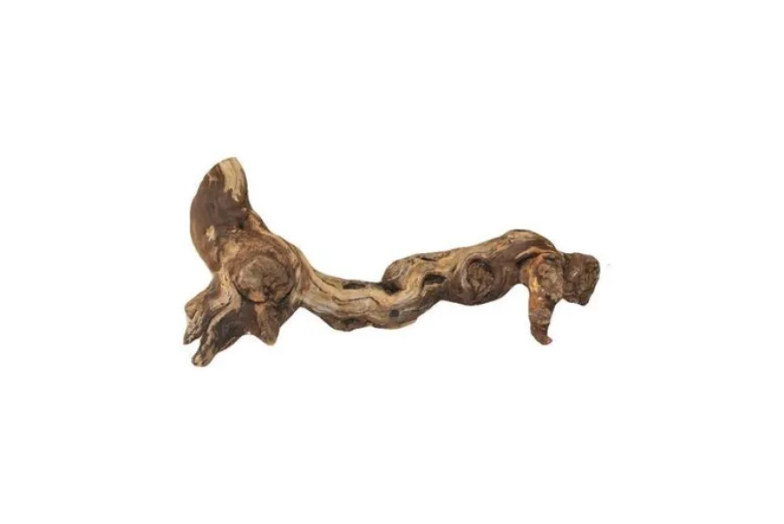 Hobby Weinrebenwurzel Jumbo, ca. 50-70 cm