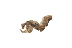 Hobby Weinrebenwurzel Jumbo, ca. 50-70 cm