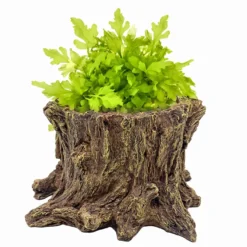 Hobby Wildwood Stump, Wasserstelle und Pflanztopf, 15 x 14,5 x 9 cm